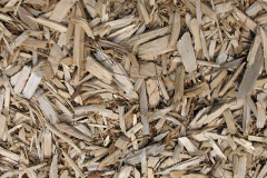 biomass boilers Dunscore